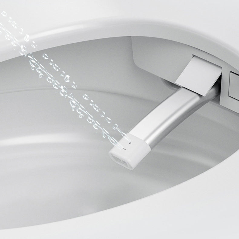 Modern 1-Piece Bidet Toilet Floor Mounted Toilet Bowl for Bathroom Clearhalo 'Bathroom Remodel & Bathroom Fixtures' 'Home Improvement' 'home_improvement' 'home_improvement_toilets' 'Toilets & Bidets' 'Toilets' 6356078