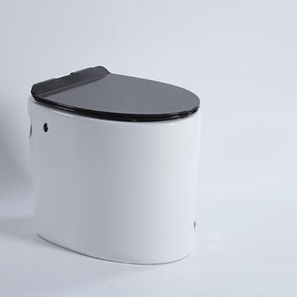 Floor Mounted Toilet One-Piece Toilet ABS Contemporary Flush Toilet 19"L x 14"W x 16"H Black/ White Manual Flush Clearhalo 'Bathroom Remodel & Bathroom Fixtures' 'Home Improvement' 'home_improvement' 'home_improvement_toilets' 'Toilets & Bidets' 'Toilets' 6356195