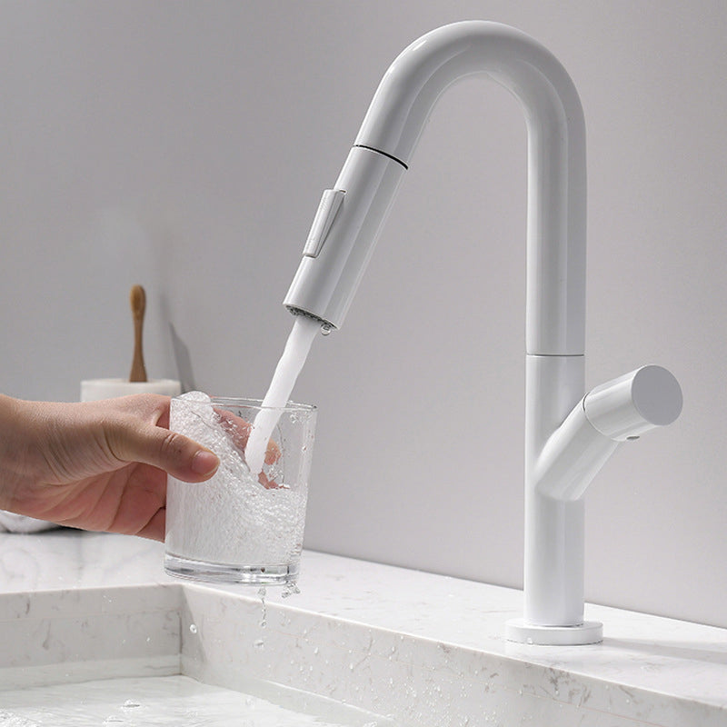 High-Arc Modern Style Bathroom Faucet Single Handle Pull-out Faucet Clearhalo 'Home Improvement' 'home_improvement' 'home_improvement_kitchen_faucets' 'Kitchen Faucets' 'Kitchen Remodel & Kitchen Fixtures' 'Kitchen Sinks & Faucet Components' 'kitchen_faucets' 6365614