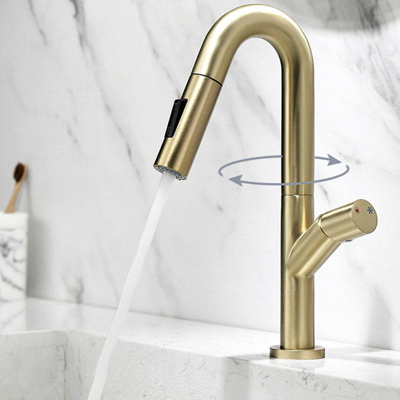 High-Arc Modern Style Bathroom Faucet Single Handle Pull-out Faucet Clearhalo 'Home Improvement' 'home_improvement' 'home_improvement_kitchen_faucets' 'Kitchen Faucets' 'Kitchen Remodel & Kitchen Fixtures' 'Kitchen Sinks & Faucet Components' 'kitchen_faucets' 6365617