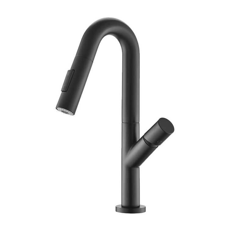 High-Arc Modern Style Bathroom Faucet Single Handle Pull-out Faucet Black Clearhalo 'Home Improvement' 'home_improvement' 'home_improvement_kitchen_faucets' 'Kitchen Faucets' 'Kitchen Remodel & Kitchen Fixtures' 'Kitchen Sinks & Faucet Components' 'kitchen_faucets' 6365622