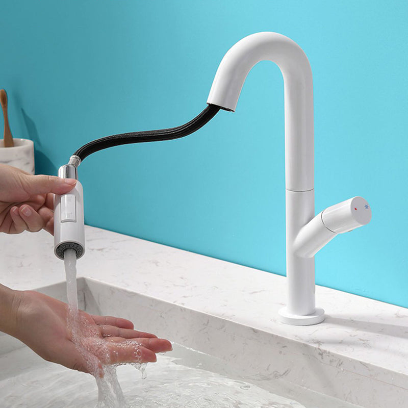 High-Arc Modern Style Bathroom Faucet Single Handle Pull-out Faucet Clearhalo 'Home Improvement' 'home_improvement' 'home_improvement_kitchen_faucets' 'Kitchen Faucets' 'Kitchen Remodel & Kitchen Fixtures' 'Kitchen Sinks & Faucet Components' 'kitchen_faucets' 6365623