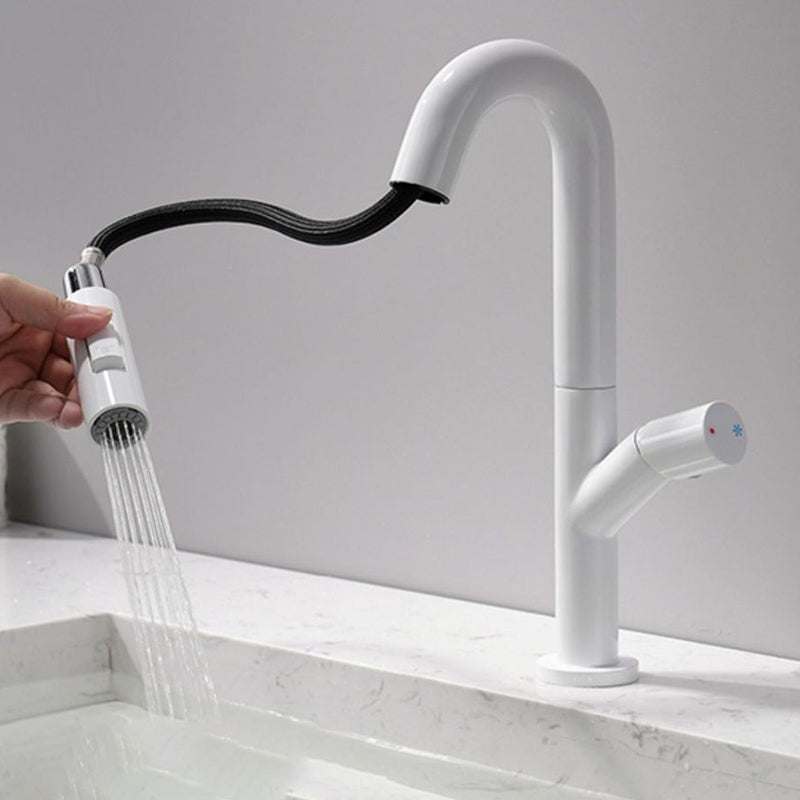 High-Arc Modern Style Bathroom Faucet Single Handle Pull-out Faucet Clearhalo 'Home Improvement' 'home_improvement' 'home_improvement_kitchen_faucets' 'Kitchen Faucets' 'Kitchen Remodel & Kitchen Fixtures' 'Kitchen Sinks & Faucet Components' 'kitchen_faucets' 6365632