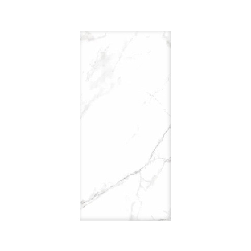 Porcelain Floor Tile Matte White Marble Look Floor and Wall Tile Clearhalo 'Floor Tiles & Wall Tiles' 'floor_tiles_wall_tiles' 'Flooring 'Home Improvement' 'home_improvement' 'home_improvement_floor_tiles_wall_tiles' Walls and Ceiling' 6416312