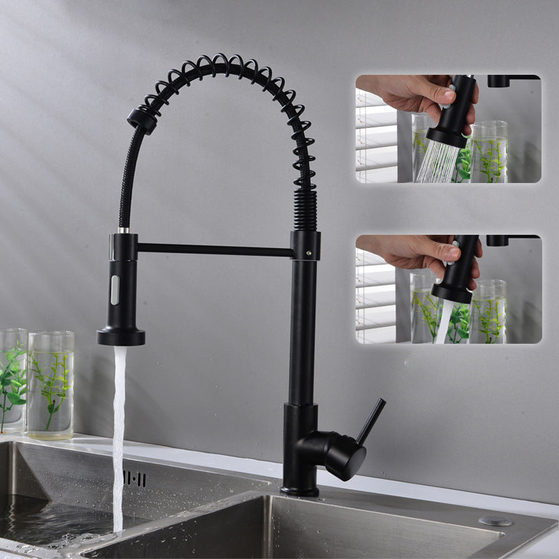 Modern Spring Spout Faucets 1-Handle with Water Dispenser Standard Kitchen Faucets Clearhalo 'Home Improvement' 'home_improvement' 'home_improvement_kitchen_faucets' 'Kitchen Faucets' 'Kitchen Remodel & Kitchen Fixtures' 'Kitchen Sinks & Faucet Components' 'kitchen_faucets' 6438609