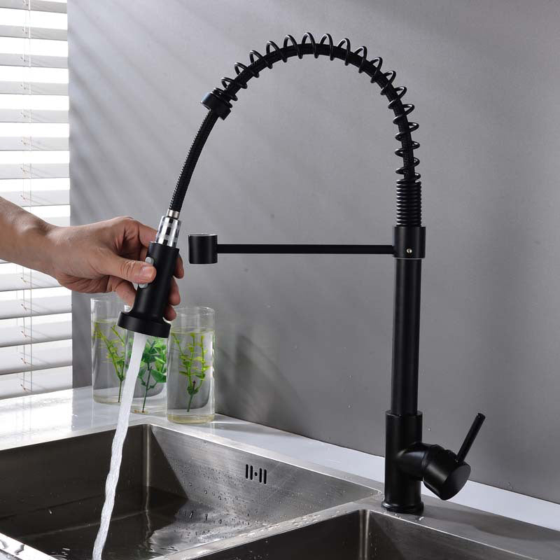 Modern Spring Spout Faucets 1-Handle with Water Dispenser Standard Kitchen Faucets Black Clearhalo 'Home Improvement' 'home_improvement' 'home_improvement_kitchen_faucets' 'Kitchen Faucets' 'Kitchen Remodel & Kitchen Fixtures' 'Kitchen Sinks & Faucet Components' 'kitchen_faucets' 6438610