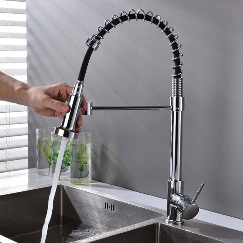 Modern Spring Spout Faucets 1-Handle with Water Dispenser Standard Kitchen Faucets Silver Clearhalo 'Home Improvement' 'home_improvement' 'home_improvement_kitchen_faucets' 'Kitchen Faucets' 'Kitchen Remodel & Kitchen Fixtures' 'Kitchen Sinks & Faucet Components' 'kitchen_faucets' 6438613