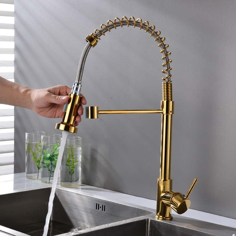 Modern Spring Spout Faucets 1-Handle with Water Dispenser Standard Kitchen Faucets Gold Clearhalo 'Home Improvement' 'home_improvement' 'home_improvement_kitchen_faucets' 'Kitchen Faucets' 'Kitchen Remodel & Kitchen Fixtures' 'Kitchen Sinks & Faucet Components' 'kitchen_faucets' 6438615