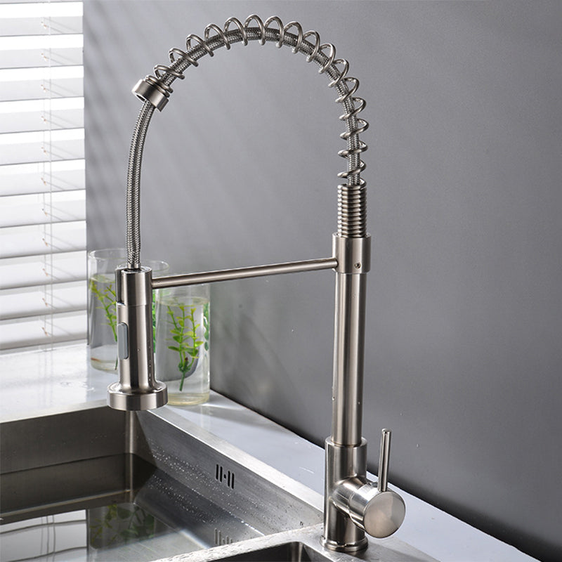 Modern Spring Spout Faucets 1-Handle with Water Dispenser Standard Kitchen Faucets Clearhalo 'Home Improvement' 'home_improvement' 'home_improvement_kitchen_faucets' 'Kitchen Faucets' 'Kitchen Remodel & Kitchen Fixtures' 'Kitchen Sinks & Faucet Components' 'kitchen_faucets' 6438624