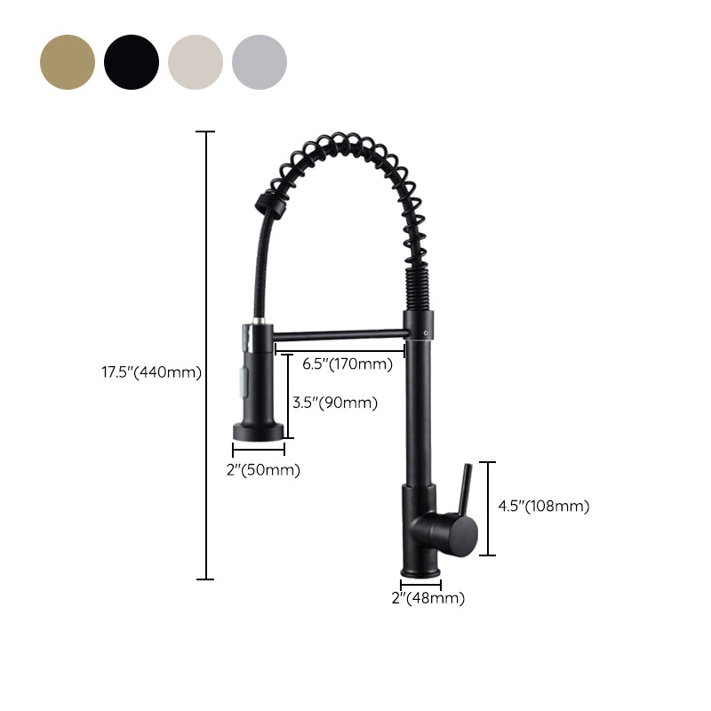 Modern Spring Spout Faucets 1-Handle with Water Dispenser Standard Kitchen Faucets Clearhalo 'Home Improvement' 'home_improvement' 'home_improvement_kitchen_faucets' 'Kitchen Faucets' 'Kitchen Remodel & Kitchen Fixtures' 'Kitchen Sinks & Faucet Components' 'kitchen_faucets' 6438626