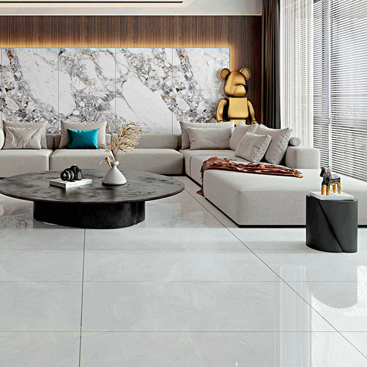 Floor Tile Marble Print Rectangle Living Room Porcelain Tile Clearhalo 'Floor Tiles & Wall Tiles' 'floor_tiles_wall_tiles' 'Flooring 'Home Improvement' 'home_improvement' 'home_improvement_floor_tiles_wall_tiles' Walls and Ceiling' 6456225