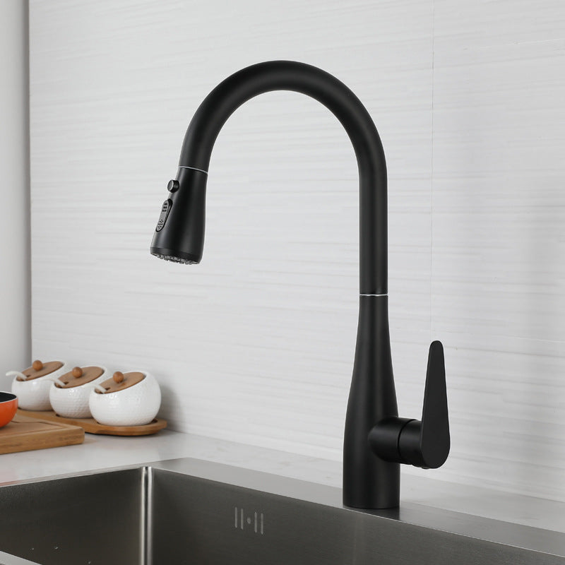 Modern 1-Handle Kitchen Faucet Stainless Steel Standard Kitchen Faucet Black Clearhalo 'Home Improvement' 'home_improvement' 'home_improvement_kitchen_faucets' 'Kitchen Faucets' 'Kitchen Remodel & Kitchen Fixtures' 'Kitchen Sinks & Faucet Components' 'kitchen_faucets' 6467037