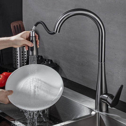 Modern 1-Handle Kitchen Faucet Stainless Steel Standard Kitchen Faucet Clearhalo 'Home Improvement' 'home_improvement' 'home_improvement_kitchen_faucets' 'Kitchen Faucets' 'Kitchen Remodel & Kitchen Fixtures' 'Kitchen Sinks & Faucet Components' 'kitchen_faucets' 6467038