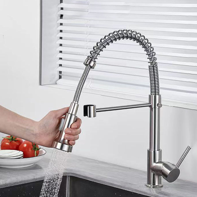 1-Handle Faucets with Water Dispenser Spring Spout Standard Kitchen Faucets Clearhalo 'Home Improvement' 'home_improvement' 'home_improvement_kitchen_faucets' 'Kitchen Faucets' 'Kitchen Remodel & Kitchen Fixtures' 'Kitchen Sinks & Faucet Components' 'kitchen_faucets' 6467068