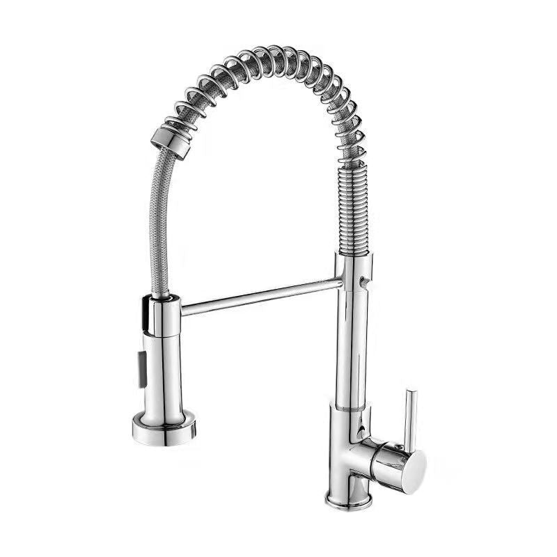 1-Handle Faucets with Water Dispenser Spring Spout Standard Kitchen Faucets Clearhalo 'Home Improvement' 'home_improvement' 'home_improvement_kitchen_faucets' 'Kitchen Faucets' 'Kitchen Remodel & Kitchen Fixtures' 'Kitchen Sinks & Faucet Components' 'kitchen_faucets' 6467074