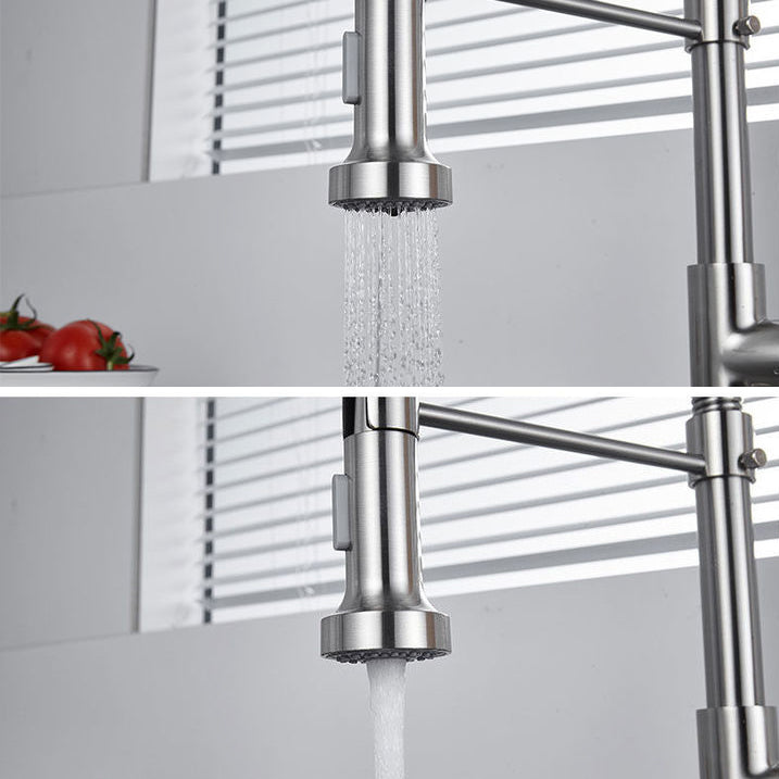 1-Handle Faucets with Water Dispenser Spring Spout Standard Kitchen Faucets Clearhalo 'Home Improvement' 'home_improvement' 'home_improvement_kitchen_faucets' 'Kitchen Faucets' 'Kitchen Remodel & Kitchen Fixtures' 'Kitchen Sinks & Faucet Components' 'kitchen_faucets' 6467078