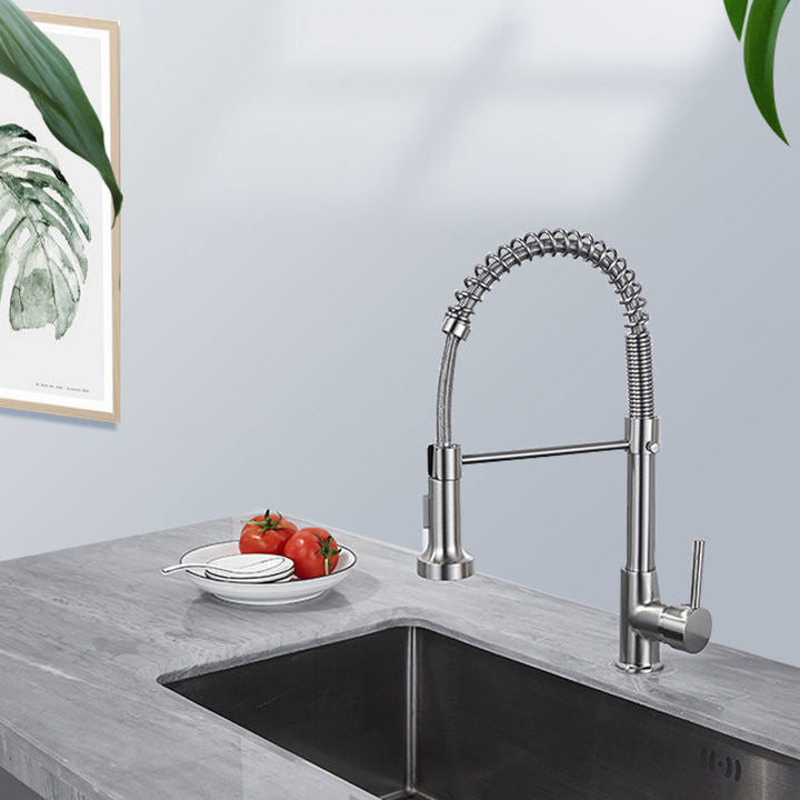 1-Handle Faucets with Water Dispenser Spring Spout Standard Kitchen Faucets Clearhalo 'Home Improvement' 'home_improvement' 'home_improvement_kitchen_faucets' 'Kitchen Faucets' 'Kitchen Remodel & Kitchen Fixtures' 'Kitchen Sinks & Faucet Components' 'kitchen_faucets' 6467079