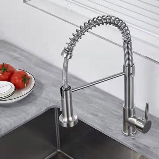 1-Handle Faucets with Water Dispenser Spring Spout Standard Kitchen Faucets Clearhalo 'Home Improvement' 'home_improvement' 'home_improvement_kitchen_faucets' 'Kitchen Faucets' 'Kitchen Remodel & Kitchen Fixtures' 'Kitchen Sinks & Faucet Components' 'kitchen_faucets' 6467080