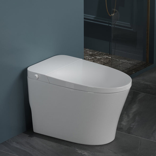 Modern Elong Toilet Bowl One Piece Toilet with Seat for Bathroom Kick and Flush Clearhalo 'Bathroom Remodel & Bathroom Fixtures' 'Home Improvement' 'home_improvement' 'home_improvement_toilets' 'Toilets & Bidets' 'Toilets' 6483093