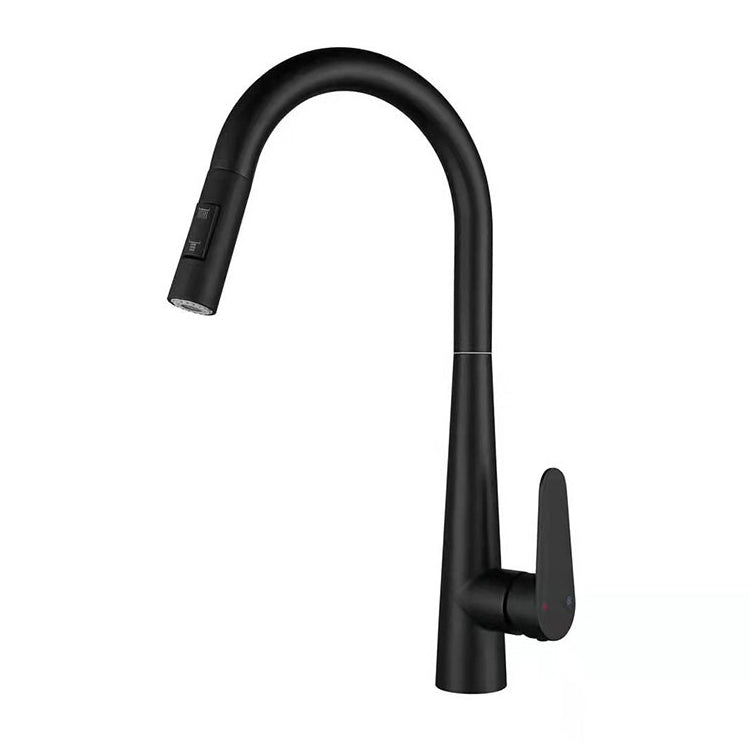 Modern Retractable Kitchen Faucet Stainless Steel 1-Handle High Arc Kitchen Faucet Black Clearhalo 'Home Improvement' 'home_improvement' 'home_improvement_kitchen_faucets' 'Kitchen Faucets' 'Kitchen Remodel & Kitchen Fixtures' 'Kitchen Sinks & Faucet Components' 'kitchen_faucets' 6484262