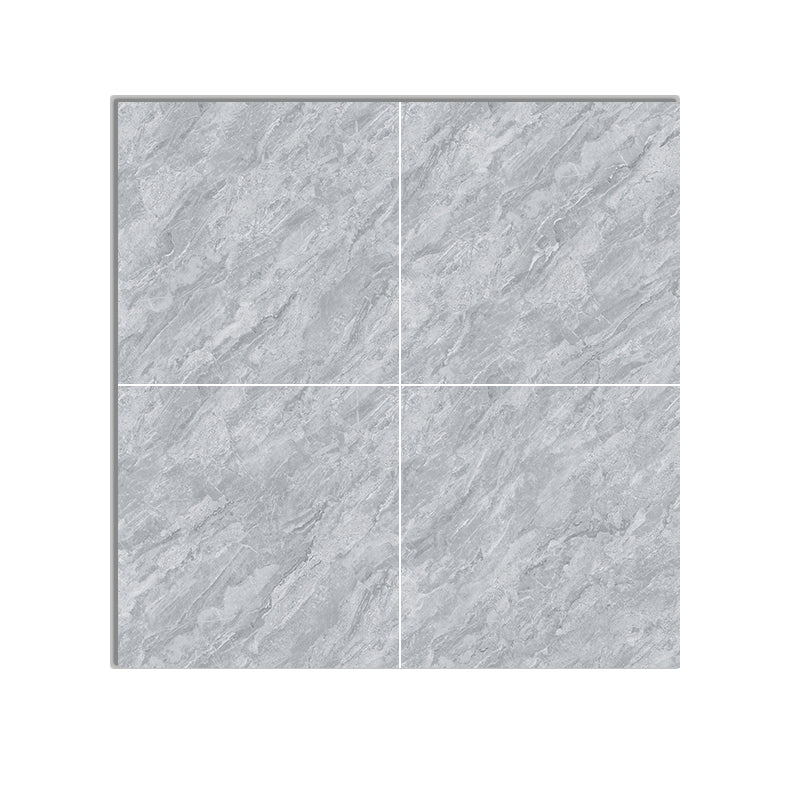 Square Matte Wall Tile Marble Gray Singular Tile for Floor Case Clearhalo 'Floor Tiles & Wall Tiles' 'floor_tiles_wall_tiles' 'Flooring 'Home Improvement' 'home_improvement' 'home_improvement_floor_tiles_wall_tiles' Walls and Ceiling' 6511788