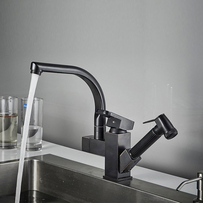 Traditional 1-Handle Faucet with Water Dispenser Standard Kitchen Faucet Clearhalo 'Home Improvement' 'home_improvement' 'home_improvement_kitchen_faucets' 'Kitchen Faucets' 'Kitchen Remodel & Kitchen Fixtures' 'Kitchen Sinks & Faucet Components' 'kitchen_faucets' 6527967
