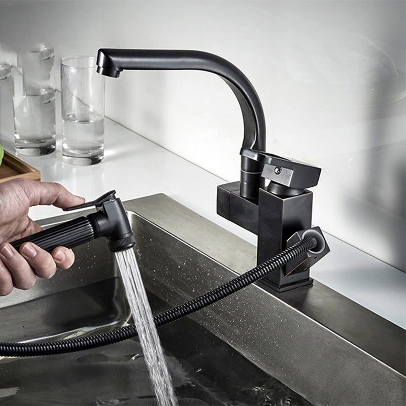 Traditional 1-Handle Faucet with Water Dispenser Standard Kitchen Faucet Clearhalo 'Home Improvement' 'home_improvement' 'home_improvement_kitchen_faucets' 'Kitchen Faucets' 'Kitchen Remodel & Kitchen Fixtures' 'Kitchen Sinks & Faucet Components' 'kitchen_faucets' 6527978
