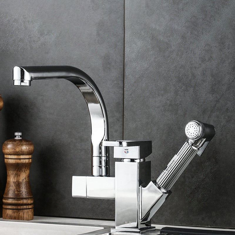 Traditional 1-Handle Faucet with Water Dispenser Standard Kitchen Faucet Silver Clearhalo 'Home Improvement' 'home_improvement' 'home_improvement_kitchen_faucets' 'Kitchen Faucets' 'Kitchen Remodel & Kitchen Fixtures' 'Kitchen Sinks & Faucet Components' 'kitchen_faucets' 6527980