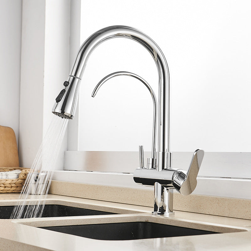 Modern 2-Handle Kitchen Faucet with Sprayer and Water Dispenser Bar Faucet Clearhalo 'Home Improvement' 'home_improvement' 'home_improvement_kitchen_faucets' 'Kitchen Faucets' 'Kitchen Remodel & Kitchen Fixtures' 'Kitchen Sinks & Faucet Components' 'kitchen_faucets' 6558246
