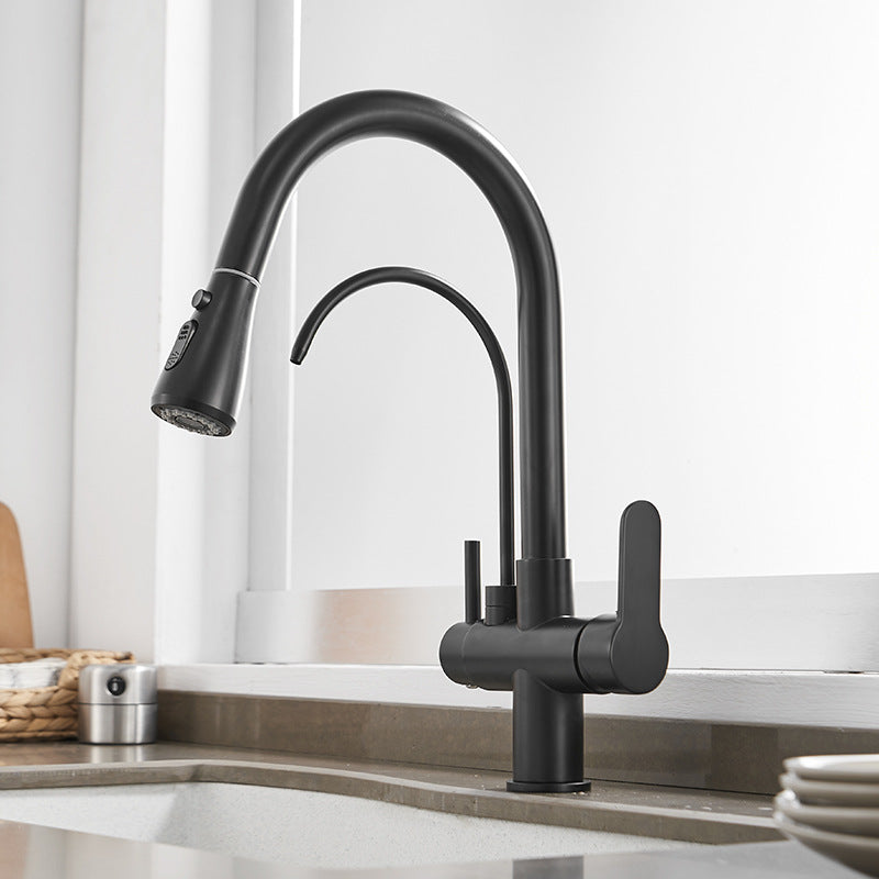 Modern 2-Handle Kitchen Faucet with Sprayer and Water Dispenser Bar Faucet Black Clearhalo 'Home Improvement' 'home_improvement' 'home_improvement_kitchen_faucets' 'Kitchen Faucets' 'Kitchen Remodel & Kitchen Fixtures' 'Kitchen Sinks & Faucet Components' 'kitchen_faucets' 6558248