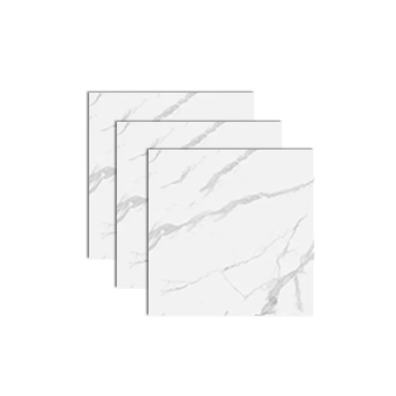 31.5" X 31.5" Square Tile Straight Edge Glazed Design Indoor Floor Tile White Clearhalo 'Floor Tiles & Wall Tiles' 'floor_tiles_wall_tiles' 'Flooring 'Home Improvement' 'home_improvement' 'home_improvement_floor_tiles_wall_tiles' Walls and Ceiling' 6569452
