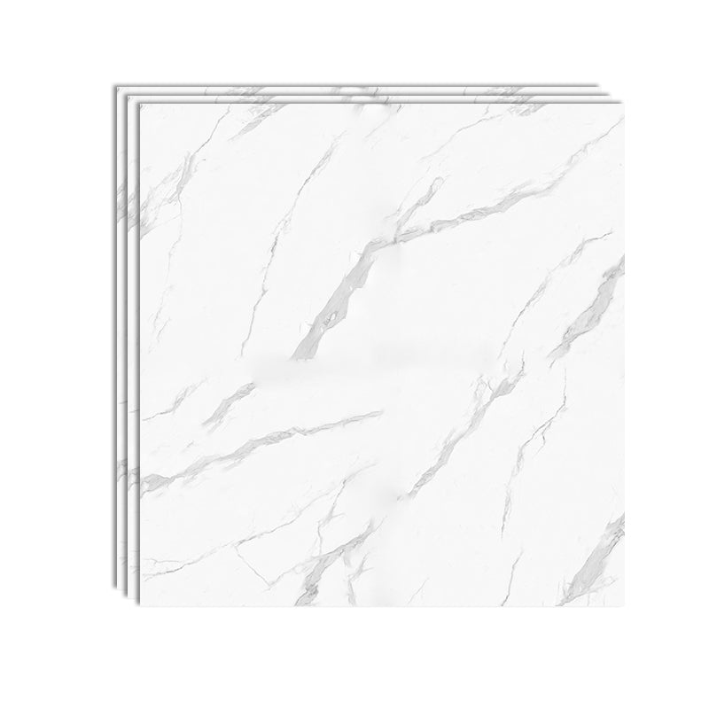 Square Matte Wall Tile Marble Gray Singular Tile for Floor Case White Clearhalo 'Floor Tiles & Wall Tiles' 'floor_tiles_wall_tiles' 'Flooring 'Home Improvement' 'home_improvement' 'home_improvement_floor_tiles_wall_tiles' Walls and Ceiling' 6652746