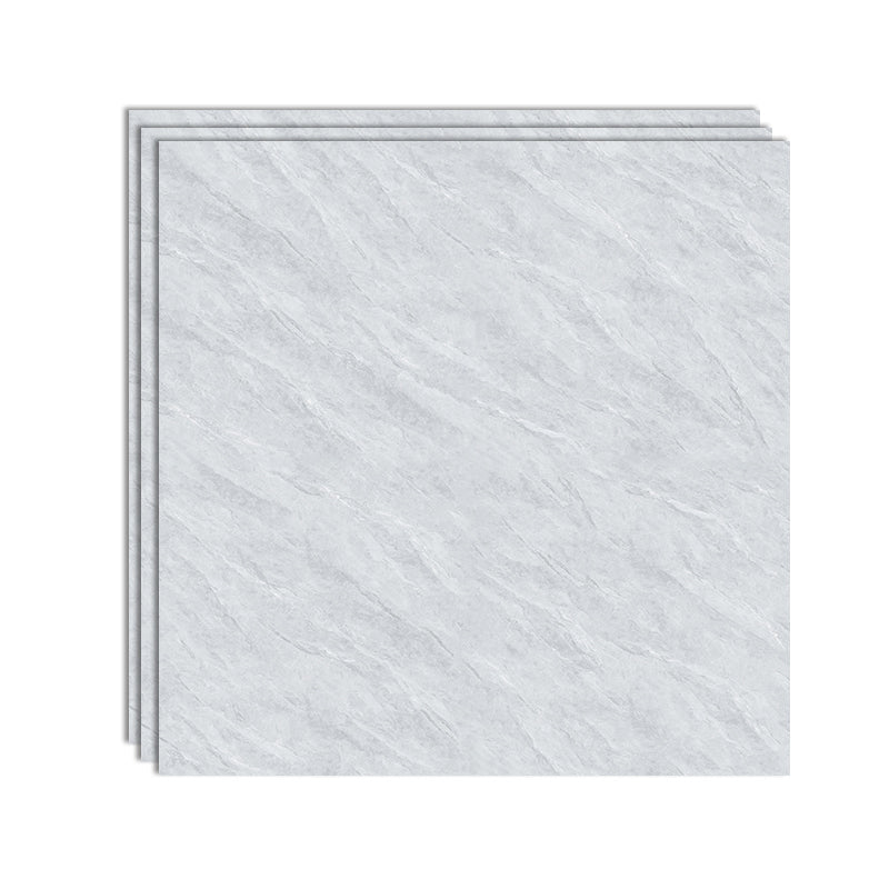 Square Matte Wall Tile Marble Gray Singular Tile for Floor Case Light Gray Clearhalo 'Floor Tiles & Wall Tiles' 'floor_tiles_wall_tiles' 'Flooring 'Home Improvement' 'home_improvement' 'home_improvement_floor_tiles_wall_tiles' Walls and Ceiling' 6652748