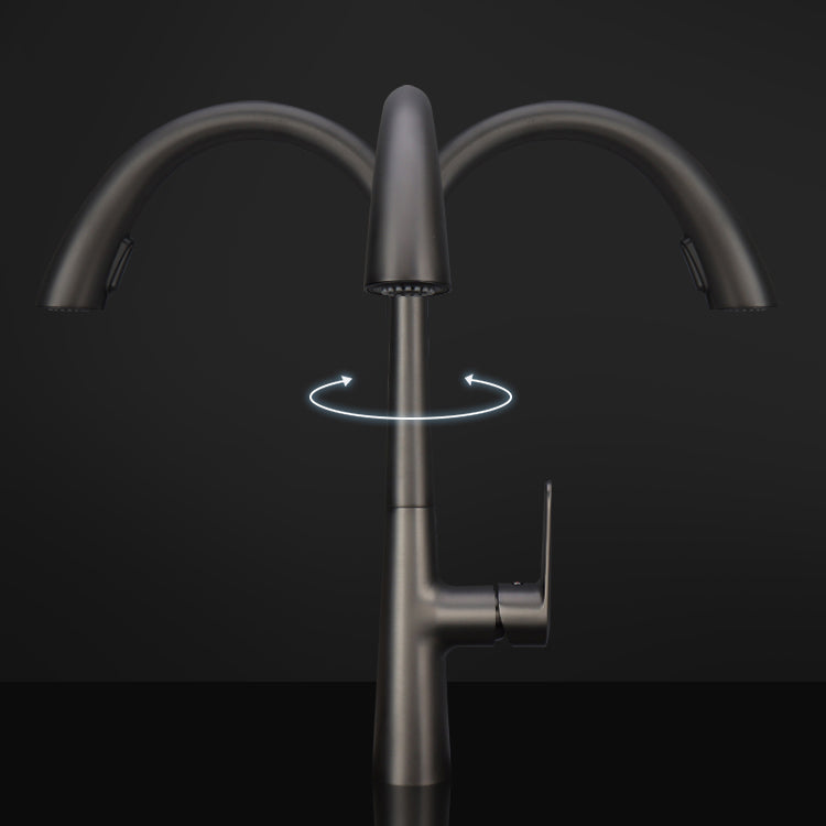 Modern Pot Filler Kitchen Faucet Brass Lever Handles Pull out Faucet Kitchen Faucet Clearhalo 'Home Improvement' 'home_improvement' 'home_improvement_kitchen_faucets' 'Kitchen Faucets' 'Kitchen Remodel & Kitchen Fixtures' 'Kitchen Sinks & Faucet Components' 'kitchen_faucets' 6658706