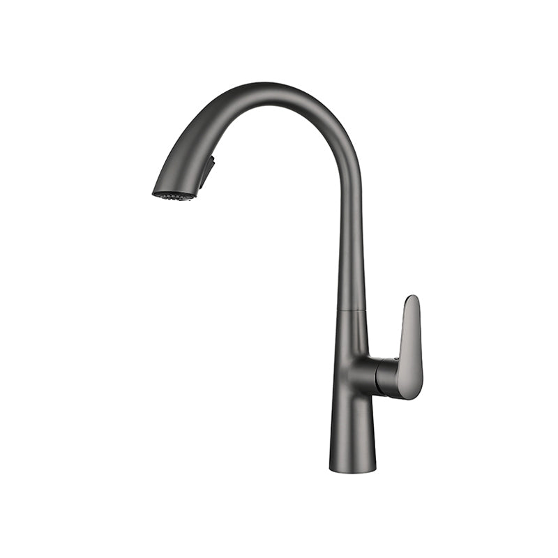 Modern Pot Filler Kitchen Faucet Brass Lever Handles Pull out Faucet Kitchen Faucet Clearhalo 'Home Improvement' 'home_improvement' 'home_improvement_kitchen_faucets' 'Kitchen Faucets' 'Kitchen Remodel & Kitchen Fixtures' 'Kitchen Sinks & Faucet Components' 'kitchen_faucets' 6658710