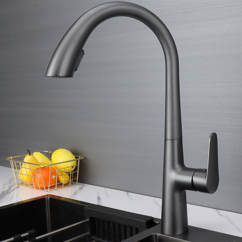 Modern Pot Filler Kitchen Faucet Brass Lever Handles Pull out Faucet Kitchen Faucet Grey Clearhalo 'Home Improvement' 'home_improvement' 'home_improvement_kitchen_faucets' 'Kitchen Faucets' 'Kitchen Remodel & Kitchen Fixtures' 'Kitchen Sinks & Faucet Components' 'kitchen_faucets' 6658713