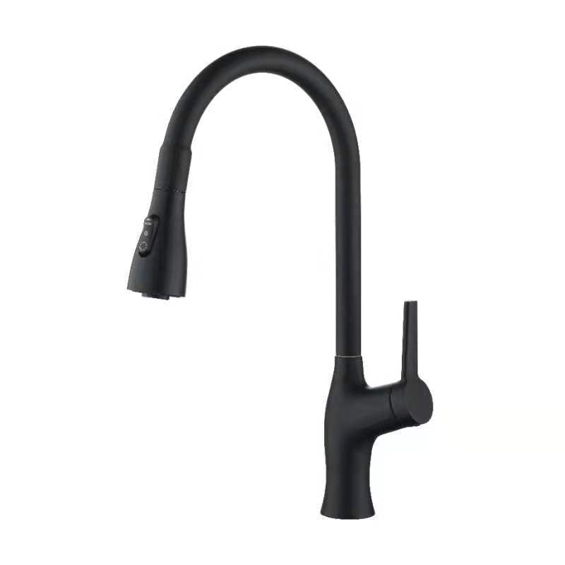 Contemporary Kitchen Faucet Copper 1-Handle High Arc Retractable Kitchen Faucet Black Clearhalo 'Home Improvement' 'home_improvement' 'home_improvement_kitchen_faucets' 'Kitchen Faucets' 'Kitchen Remodel & Kitchen Fixtures' 'Kitchen Sinks & Faucet Components' 'kitchen_faucets' 6680935