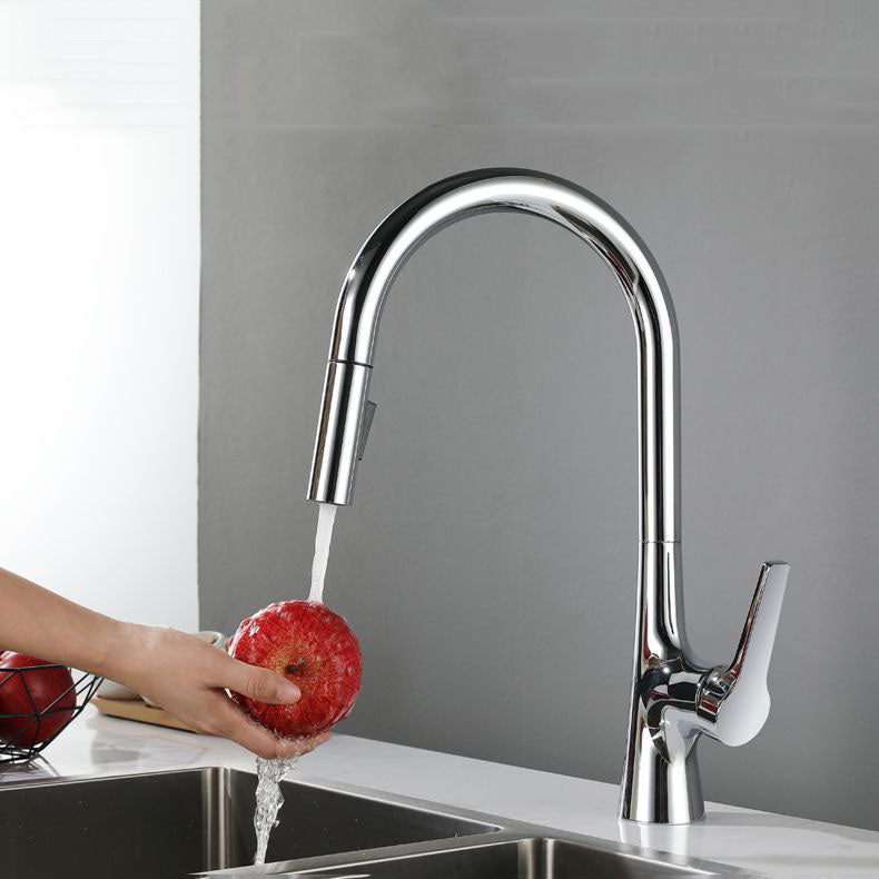 Contemporary Single Handle Standard Kitchen Faucet Pull Down 1-Hold Faucet Clearhalo 'Home Improvement' 'home_improvement' 'home_improvement_kitchen_faucets' 'Kitchen Faucets' 'Kitchen Remodel & Kitchen Fixtures' 'Kitchen Sinks & Faucet Components' 'kitchen_faucets' 6713464