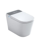 Modern Ceramic Floor Mount Urine Toilet Concealed Tank Toilet Bowl with Toilet Seat Clearhalo 'Bathroom Remodel & Bathroom Fixtures' 'Home Improvement' 'home_improvement' 'home_improvement_toilets' 'Toilets & Bidets' 'Toilets' 6774364