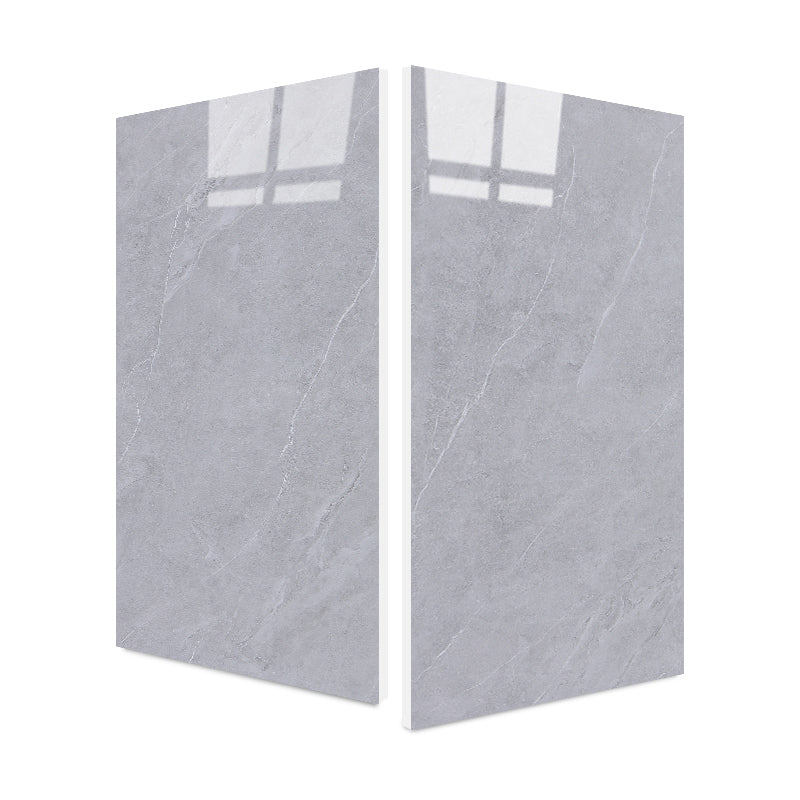 Marble Appearance Singular Tile Straight Edge Rectangular Floor Tile Clearhalo 'Floor Tiles & Wall Tiles' 'floor_tiles_wall_tiles' 'Flooring 'Home Improvement' 'home_improvement' 'home_improvement_floor_tiles_wall_tiles' Walls and Ceiling' 6887545