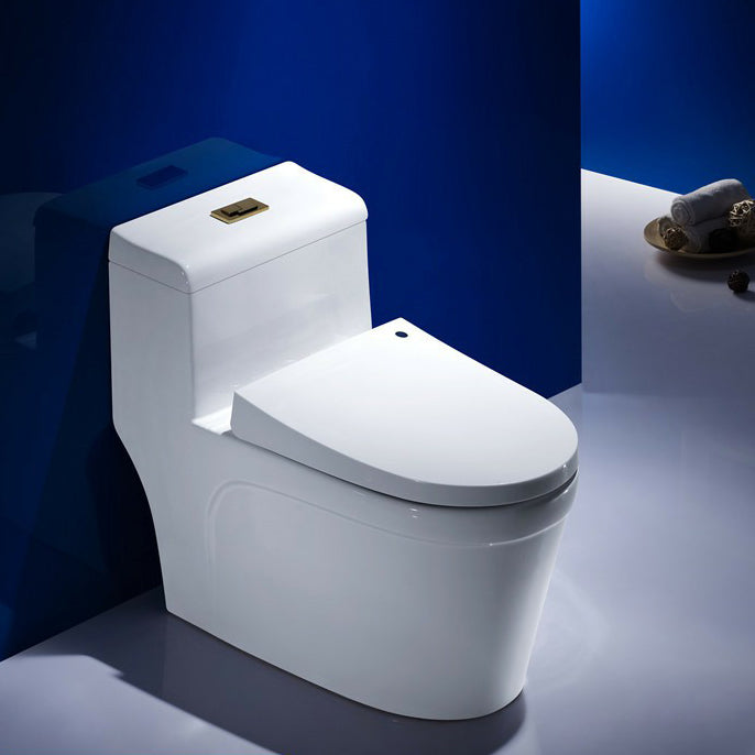 Traditional Porcelain Toilet One Piece Floor Mounted Siphon Jet Toilet -  Clearhalo