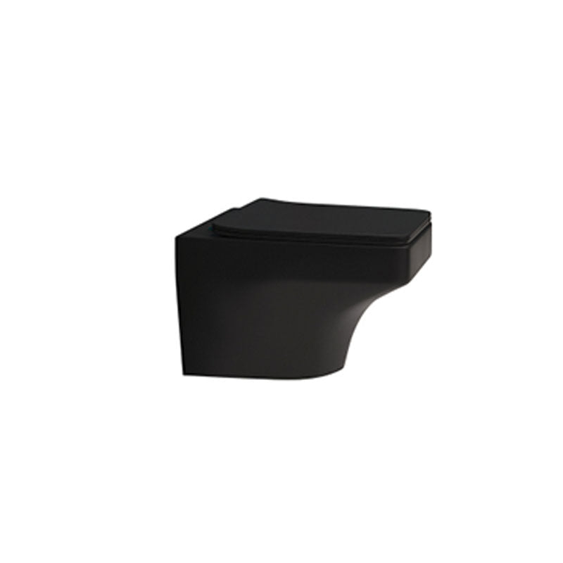 Soft Close Bidet Seat Elongated Wall Mounted Bidet with Bidet And Seat Matte Black Clearhalo 'Bathroom Remodel & Bathroom Fixtures' 'Bidets' 'Home Improvement' 'home_improvement' 'home_improvement_bidets' 'Toilets & Bidets' 6953033