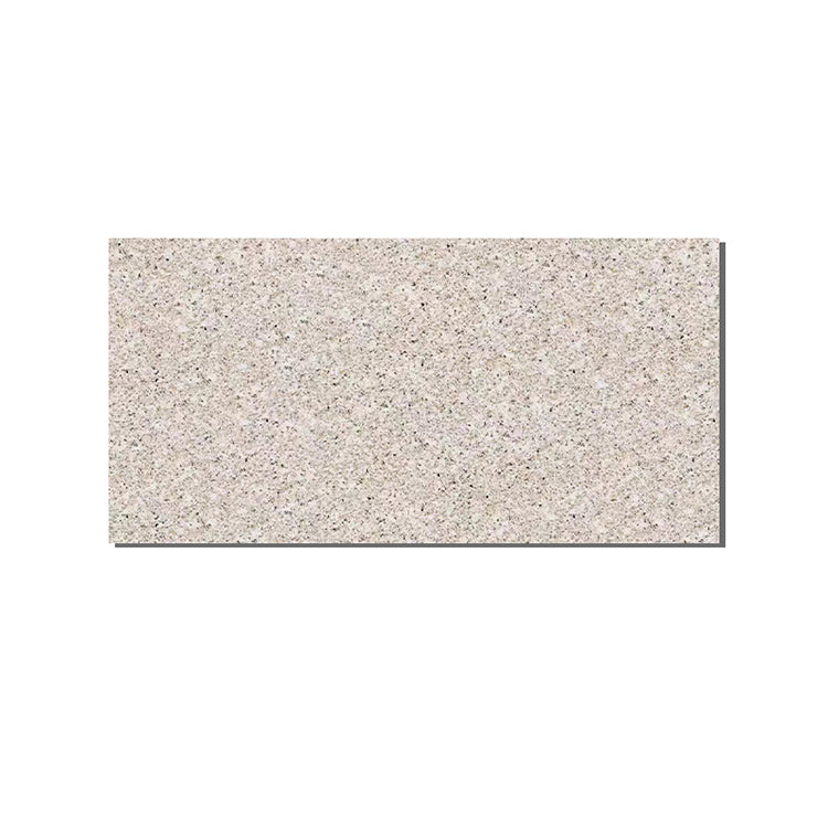 Rectangle Wall Tile Straight Edge Matte Singular Tile for Outdoor Wall Clearhalo 'Floor Tiles & Wall Tiles' 'floor_tiles_wall_tiles' 'Flooring 'Home Improvement' 'home_improvement' 'home_improvement_floor_tiles_wall_tiles' Walls and Ceiling' 7119394