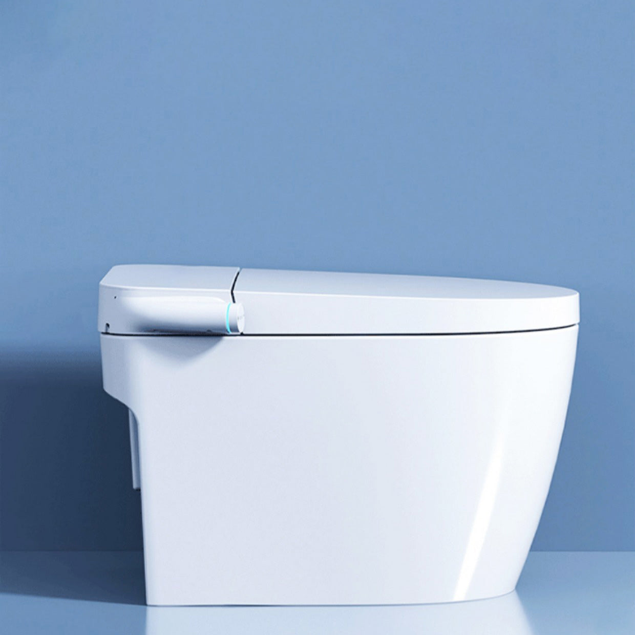 Elongated Floor Mount Bidet All-In-One Smart Bidet with Heated Seat Clearhalo 'Bathroom Remodel & Bathroom Fixtures' 'Bidets' 'Home Improvement' 'home_improvement' 'home_improvement_bidets' 'Toilets & Bidets' 7195030