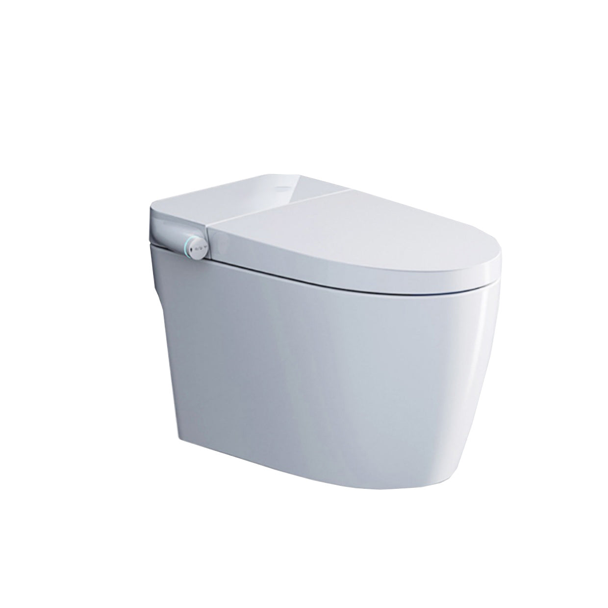 Elongated Floor Mount Bidet All-In-One Smart Bidet with Heated Seat Clearhalo 'Bathroom Remodel & Bathroom Fixtures' 'Bidets' 'Home Improvement' 'home_improvement' 'home_improvement_bidets' 'Toilets & Bidets' 7195031