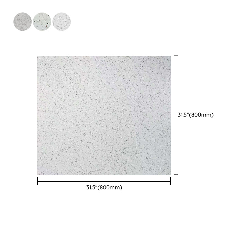 Square Floor and Wall Tile Modern Patterned Matte Singular Tile Clearhalo 'Floor Tiles & Wall Tiles' 'floor_tiles_wall_tiles' 'Flooring 'Home Improvement' 'home_improvement' 'home_improvement_floor_tiles_wall_tiles' Walls and Ceiling' 7197125