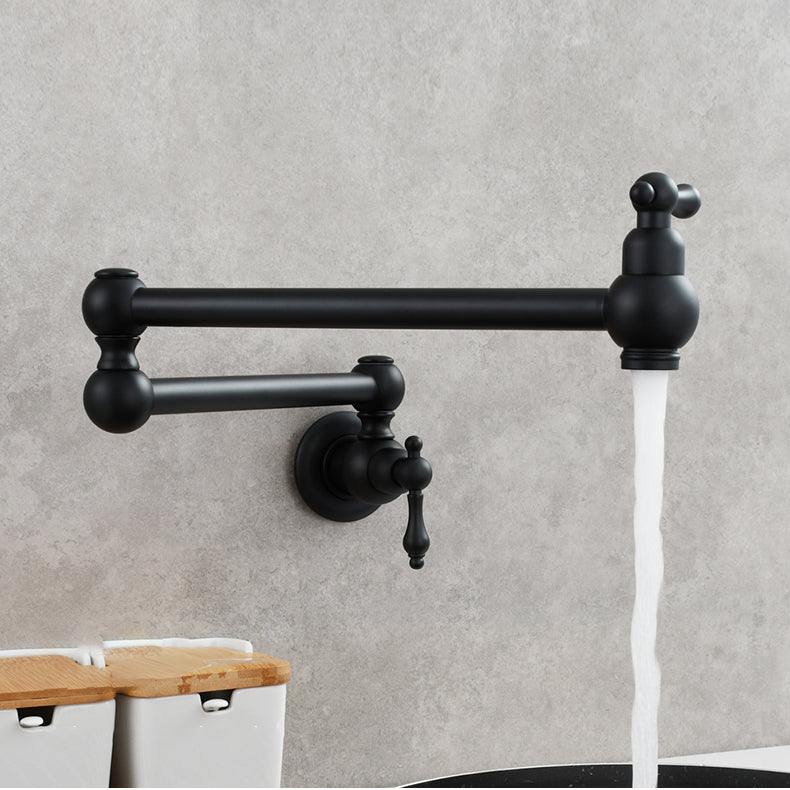 Modern Double Handles One Handle Wall Mounted Pot Filler Low Arc Profile Filler Clearhalo 'Home Improvement' 'home_improvement' 'home_improvement_kitchen_faucets' 'Kitchen Faucets' 'Kitchen Remodel & Kitchen Fixtures' 'Kitchen Sinks & Faucet Components' 'kitchen_faucets' 7208797