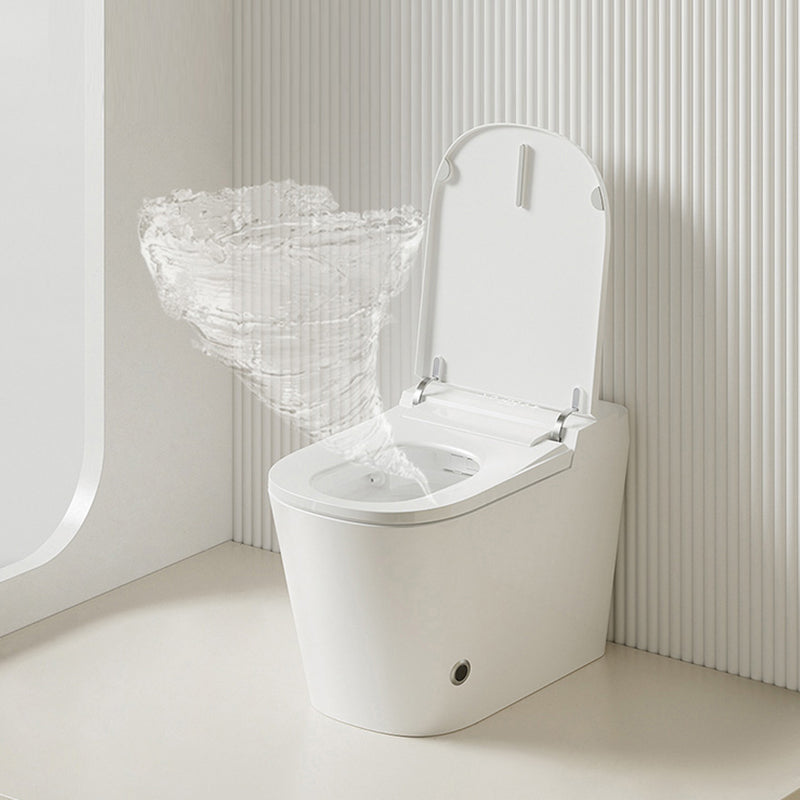 Traditional Porcelain Toilet One Piece Floor Mounted Siphon Jet Toilet -  Clearhalo