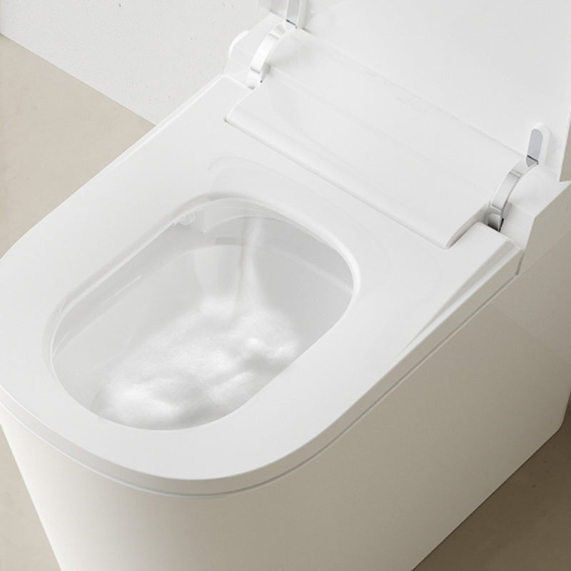 Traditional Porcelain Toilet One Piece Floor Mounted Siphon Jet Toilet -  Clearhalo