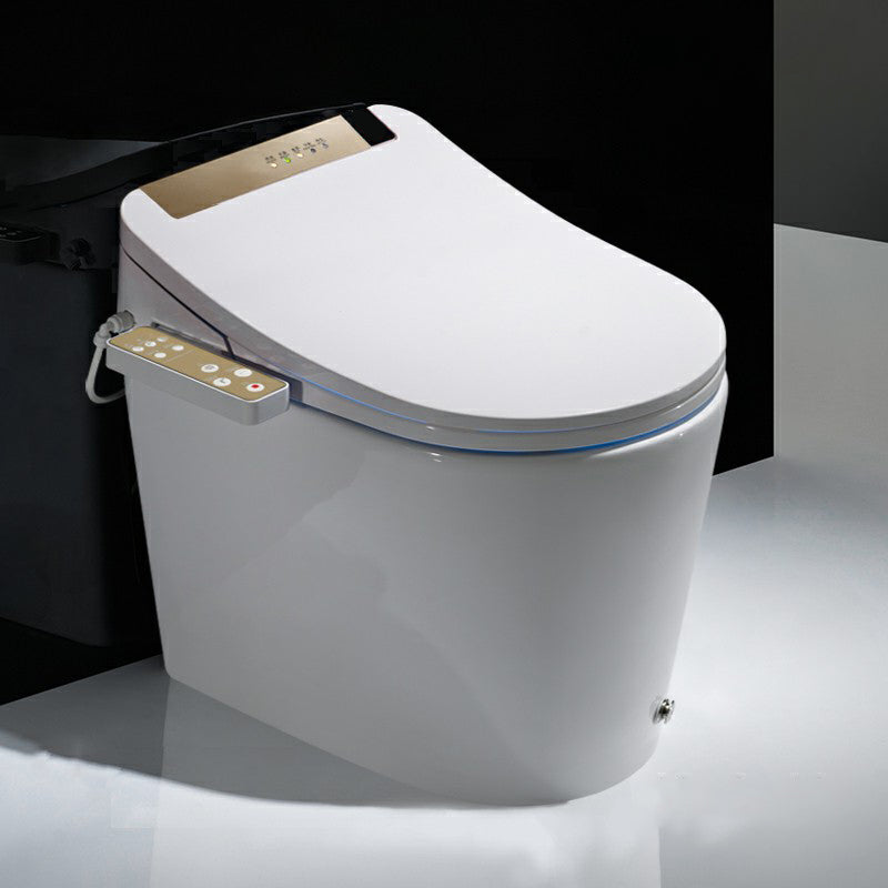 Elongated Floor Standing Bidet Vitreous China Bidets Floor Mount Bidet Digital Display Included Clearhalo 'Bathroom Remodel & Bathroom Fixtures' 'Bidets' 'Home Improvement' 'home_improvement' 'home_improvement_bidets' 'Toilets & Bidets' 7230734